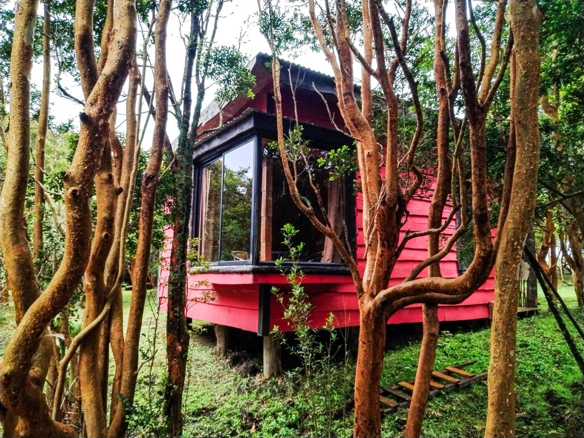 Hostal & Cabanas Luna Del Sur Cucao Buitenkant foto